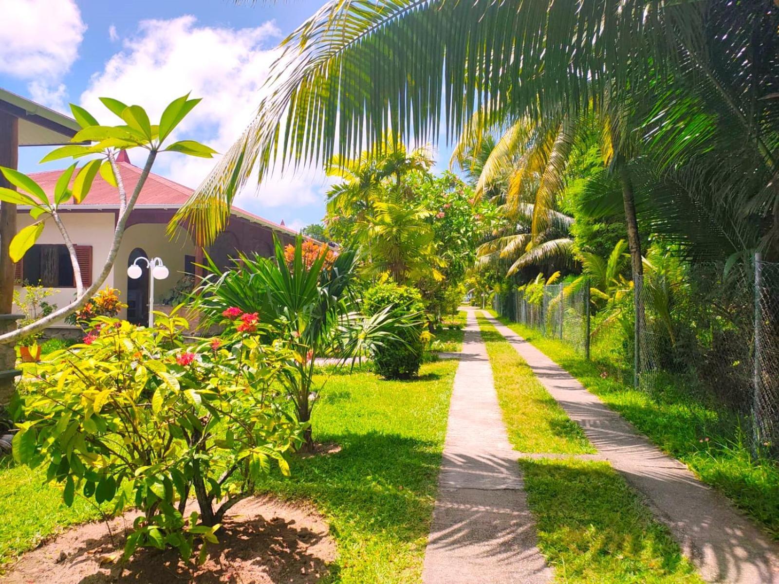 The Islander Hotel Grand Anse  Extérieur photo